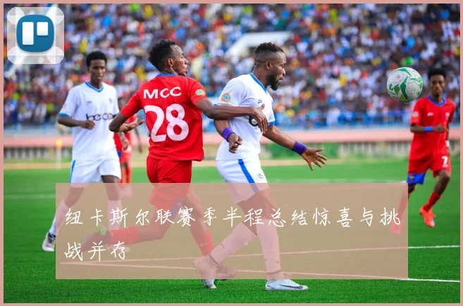 纽卡斯尔联赛季半程总结惊喜与挑战并存